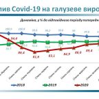 (Українська) Інфографіка розвитку сектору у 2020 році